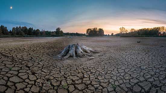 drought news